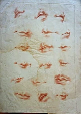 S. LECLERC (1637-1714) ENGRAVING XVIII° SANGUINE MOUTH ANATOMICAL STUDY FACE