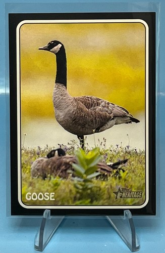2024 Topps Heritage Baseball Sensations & Zoo's Who - You Pick Complete Your Set - Picture 34 of 41