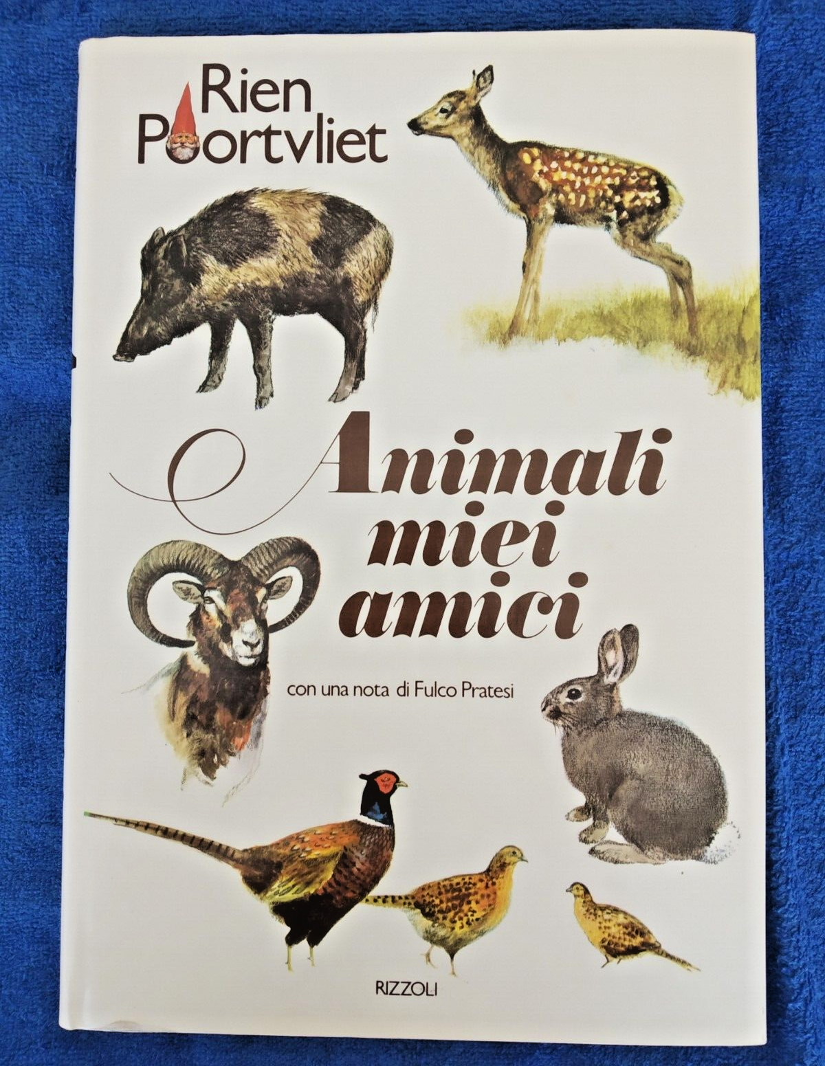 Foto 1 di 6
