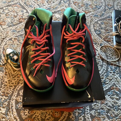 lebron x id