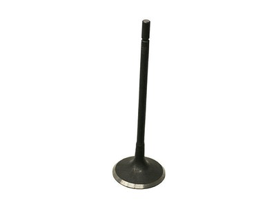Osvat 45FJ77M Intake Valve Fits 2010-2012 Jaguar XF Intake Valve
