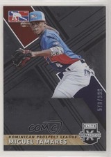 2019 Elite Extra Edition Dominican Prospect League /999 Miguel Tamares #211 0l2