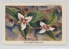 1982 American Wildlife Heritage Series 4 Plants Painted Trillium #6 1m8