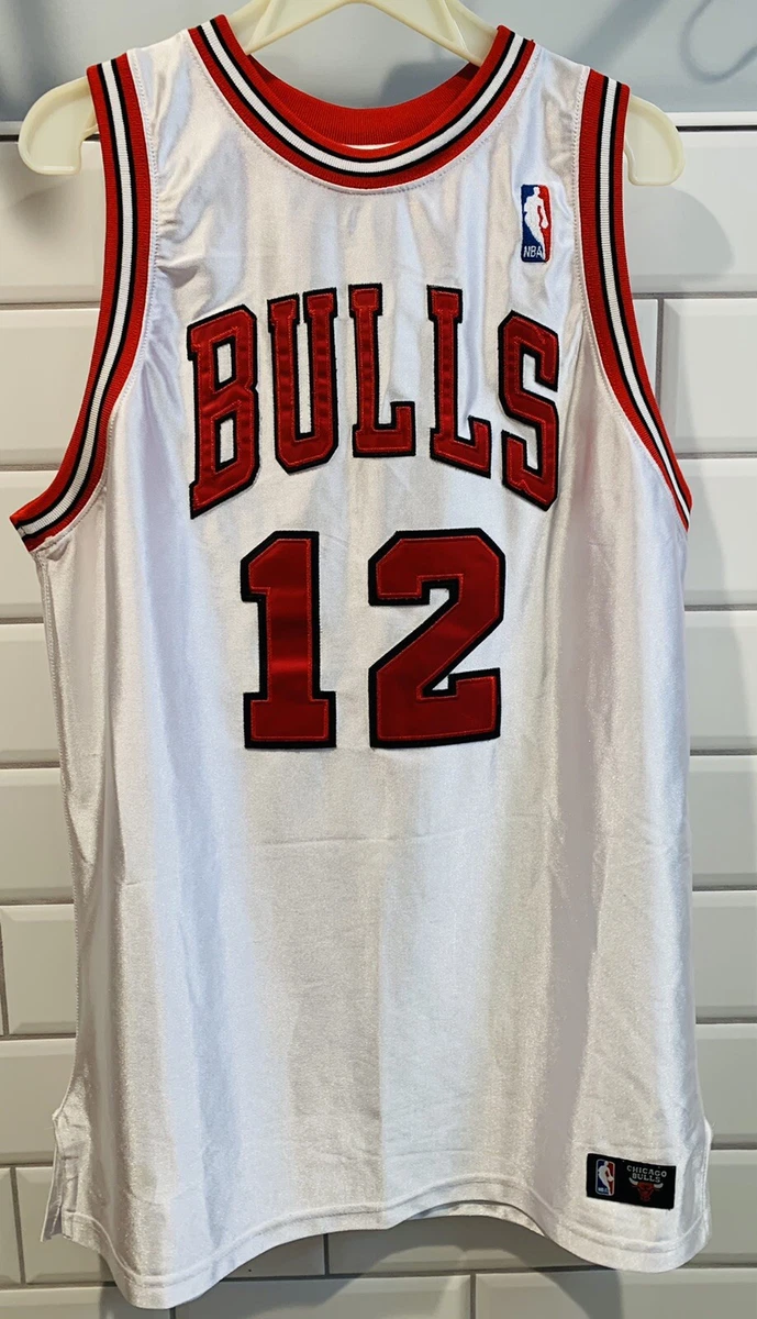 kirk hinrich jersey
