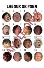 Baby Shower Game "Labour or Porn" Labor PDF File