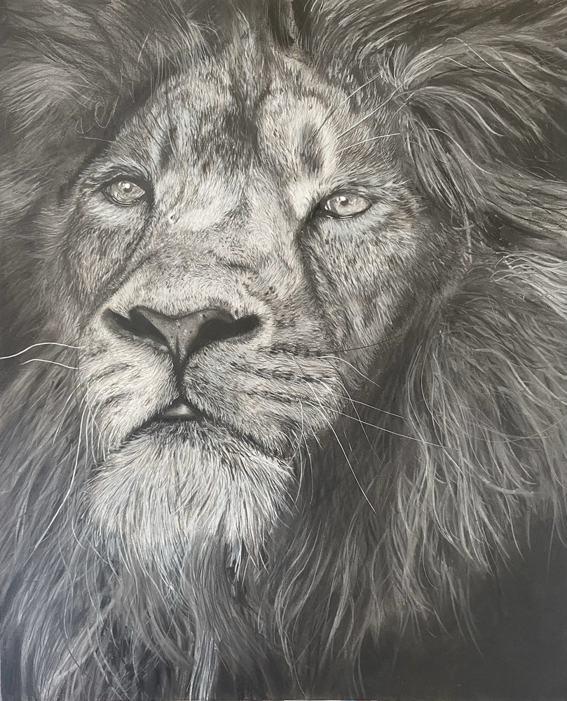 Original Charcoal Drawing 14inch X 17inch Drawn By Myself