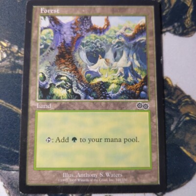 Magic The Gathering Urza's Saga Forest 348/350 | eBay