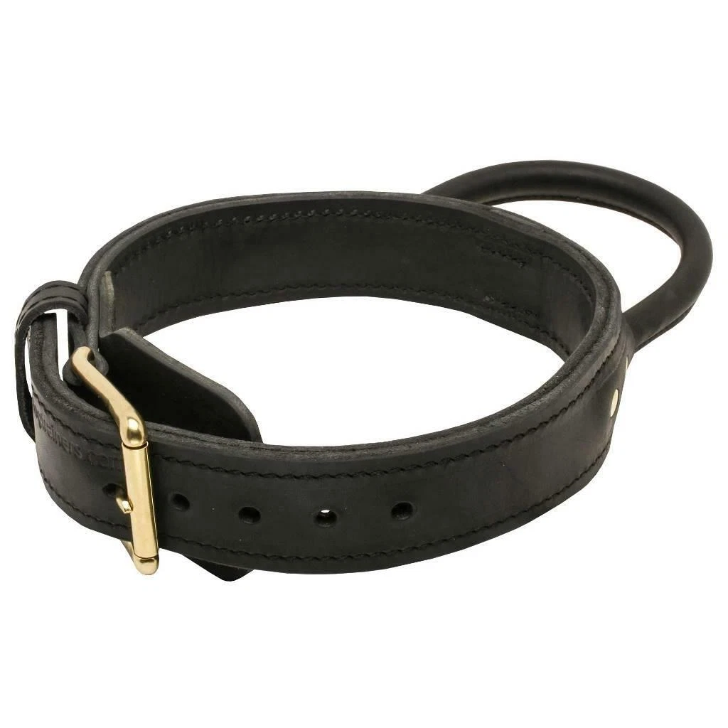 Real hotsell shock collar