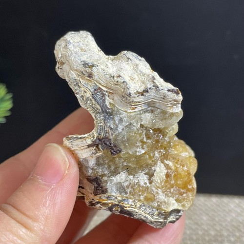 Beautiful ! Natural GoBi agate eye Agate Crystal Stone Specimen Healing 98g - Foto 5 di 8