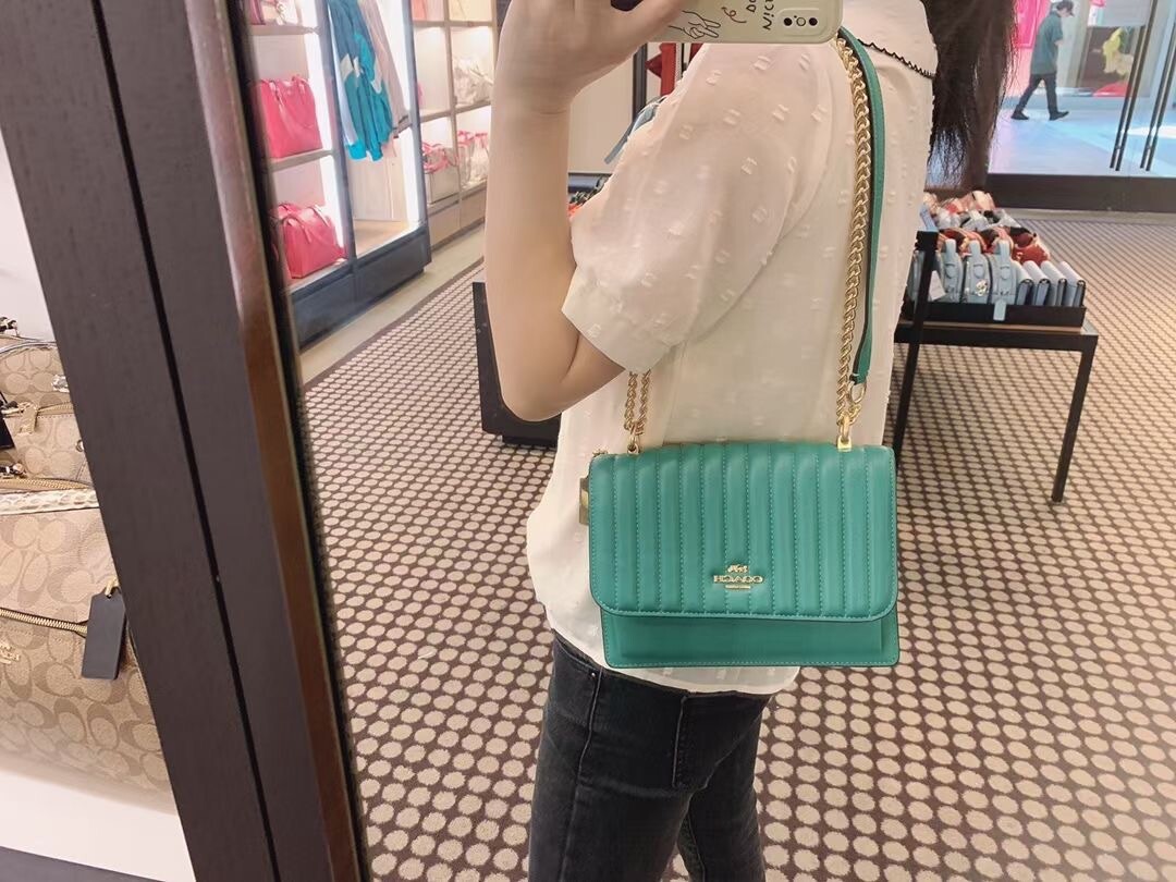 coach daisy embroidery bag