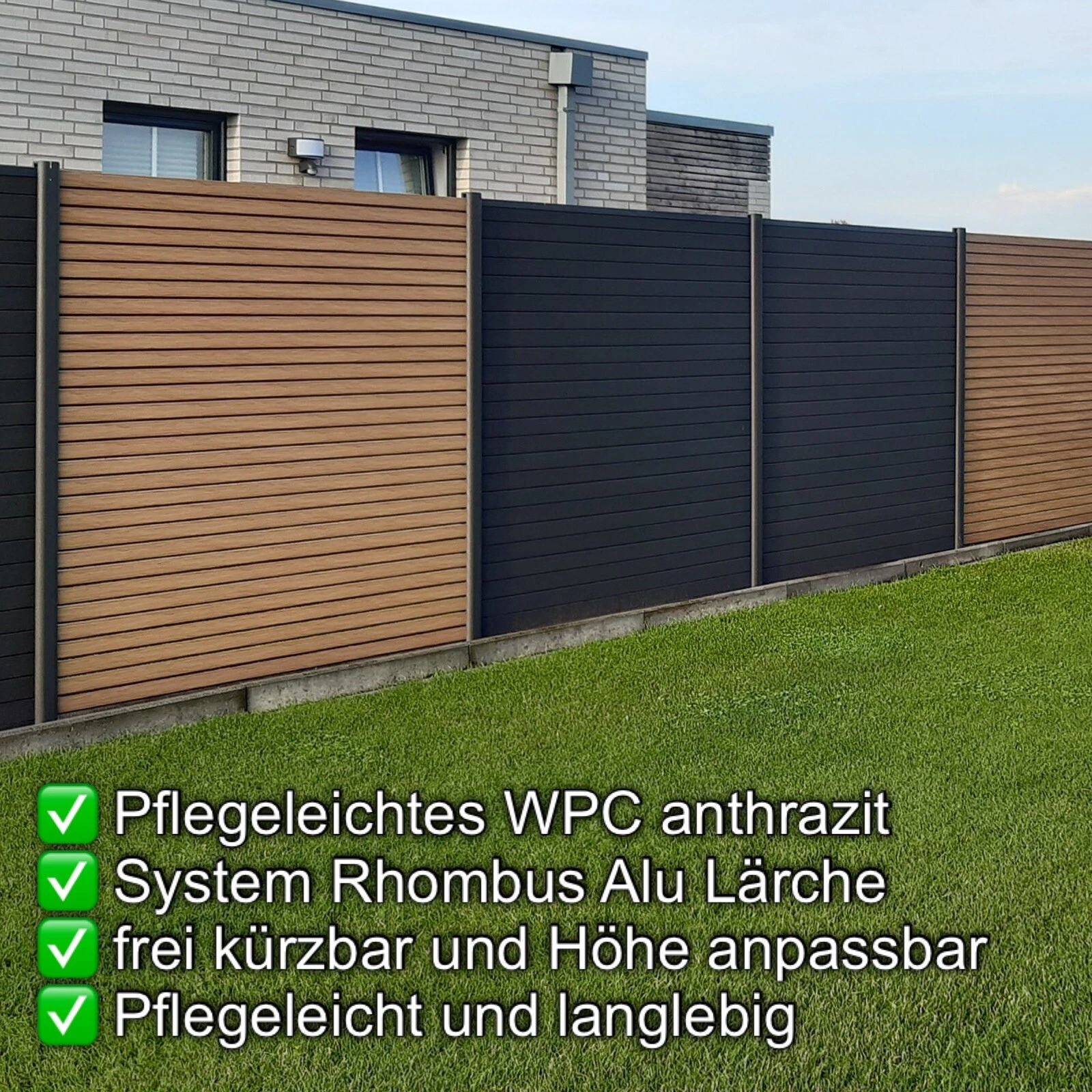 bambus fargesia hochwachsend Fargesia 'Rufa'