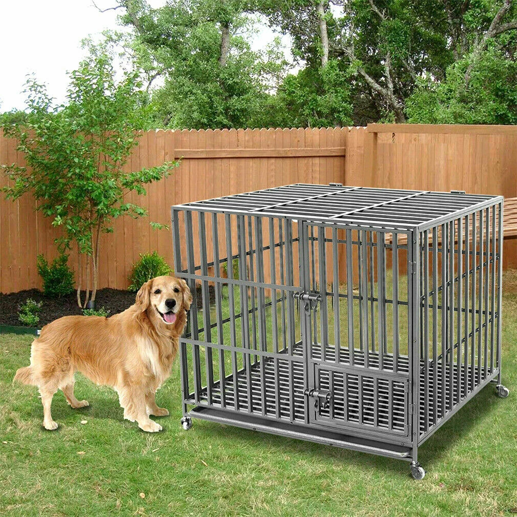 Double cage for dogs sales
