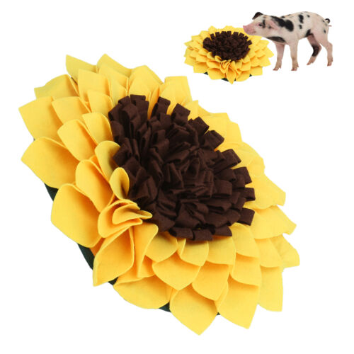 Dog Snuffle Mat Nosework Sniffing Bowl Lanyard Design For IQ Training For Pets - Picture 22 of 22
