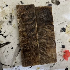 Ram Knife Scales  Knife Making  special x2 5 In Long 1/4 Thick  1.5 Wi