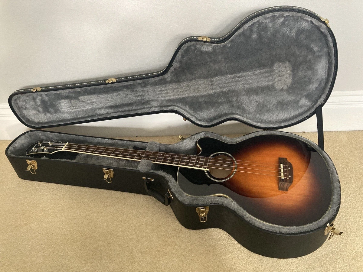 Acoustic bass sale guitar hard case