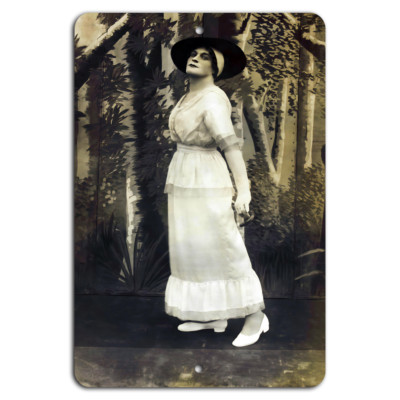 洋書 Timeless Elegance 洋書 Timeless Elegance 洋書 Timeless Elegance Tortoiseshell