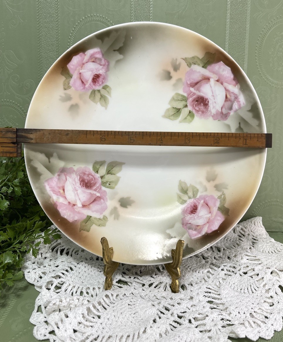 Antique Silesia Pink Roses Victorian Hand Painted Porcelain Plate