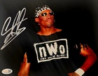 Dennis Rodman Signed METALLIC Photo 8x10  NWO Bulls Worm Autograph HOF JSA HOGAN