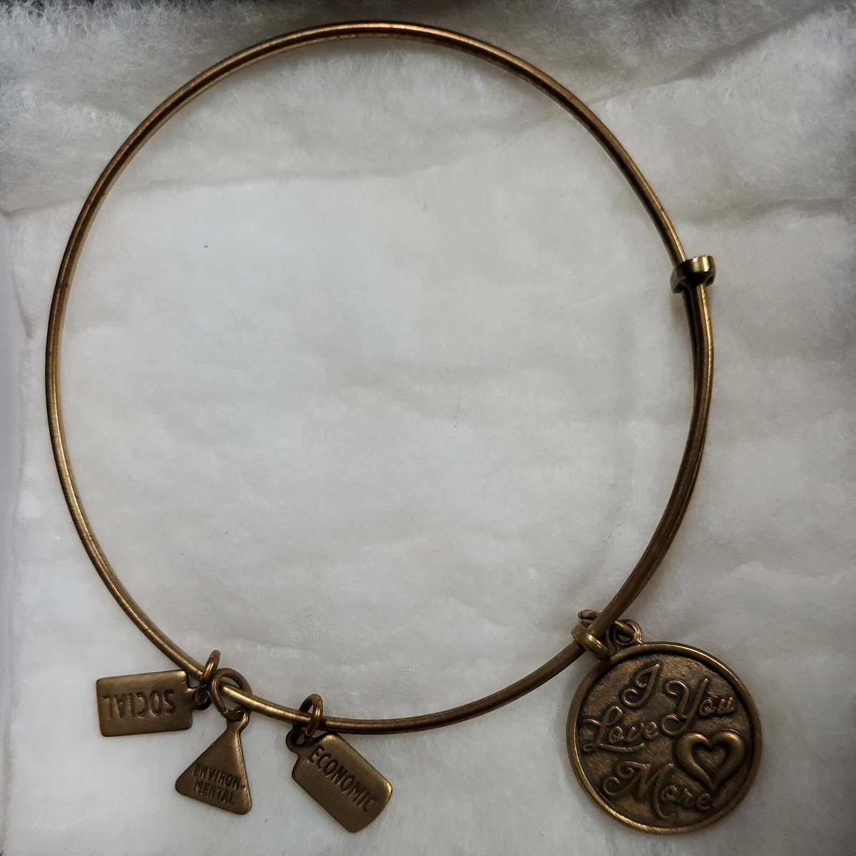 Alex and ani love on sale you more bracelet