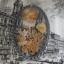 Vintage 1950s Pressed Flower Wall Art Oval Convex Glass Frame - 7" x 4.5"