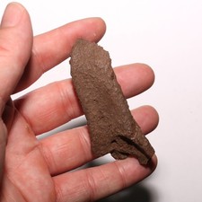 Turtle Jaw - Absolutely Gorgeous - Dinosaur Aged Hell Creek Formation Cretaceous