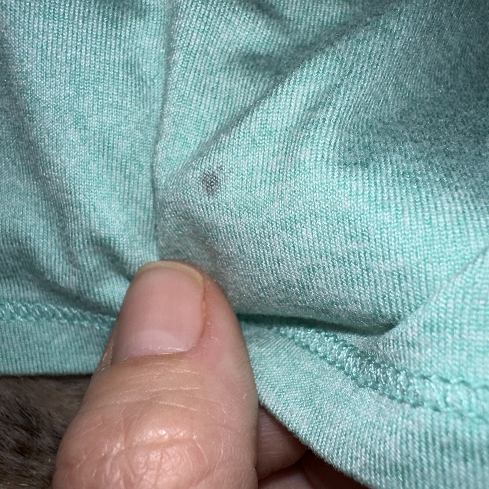 Picture 5 of 5