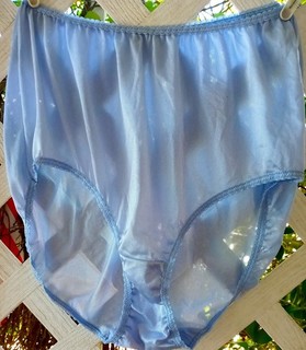 HEAVENLY BLUE ULTRA SHEER NYLON CLASSIC TAILORED GRANNY PANTY 7
