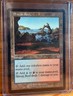 SHIVAN REEF - Mercadian Masques - Rare - Land - MTG - Magic the Gathering