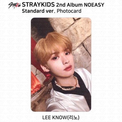 Stray Kids 2nd Album NOEASY Official Photocard Standard Ver KPOP K