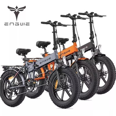 20'' E-Folding Electric Bicycles For Aldult 750W 48V E Bike Mountain Bike 13AH