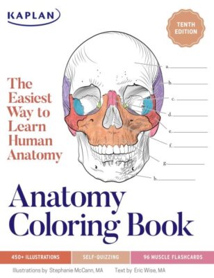 Anatomy Coloring Book With 450+ Realistic Medical Illustrations With Quizzes ...