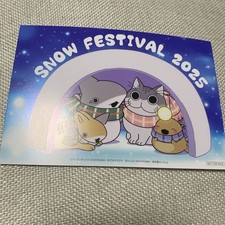 Outing Baby Shark Postcard with Cats at Night Snow Festival 2025