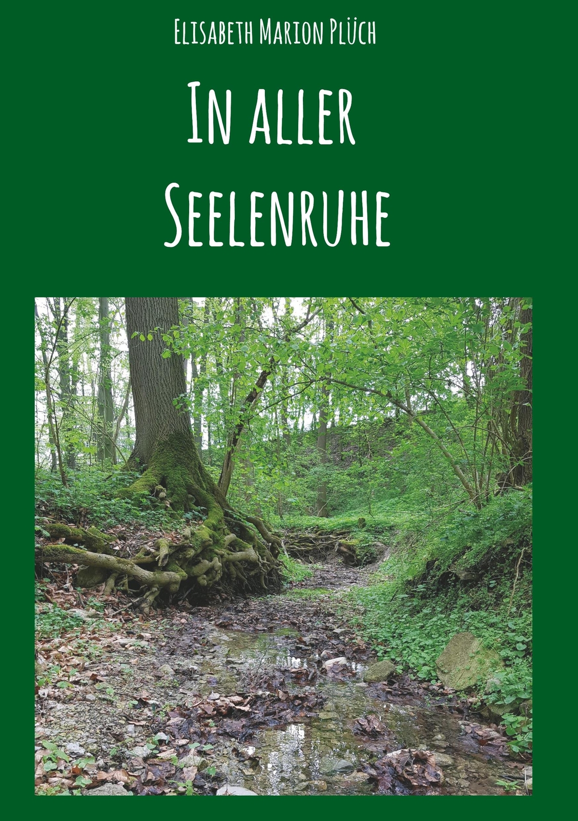 In Aller Seelenruhe | Buch | 9783749743025