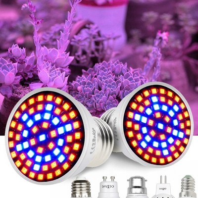 LED Pflanzenlampe E27 GU10 E14 MR16 B22 Pflanzenlicht Wuchs Licht Wachstumslampe