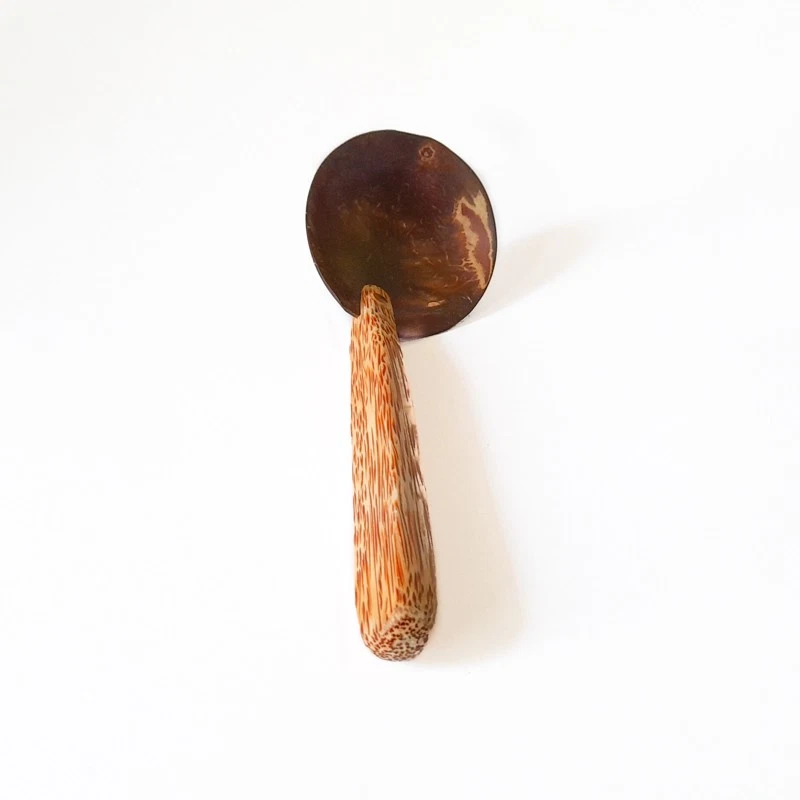 Coconut Shell Spoons with Coconut Wood Handle (06 nos.)