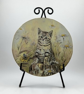 Royal Worcester Kitten Plate Tiger s Fancy Cat Collector England Decor