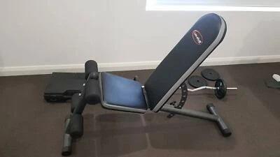 Cheap Gym Bench Celsius Gym Fitness Gumtree Australia