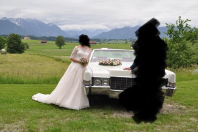 Brautkleid Sincerity Bridal Größe 34 mit Schleppe und Spitzen-Bolero