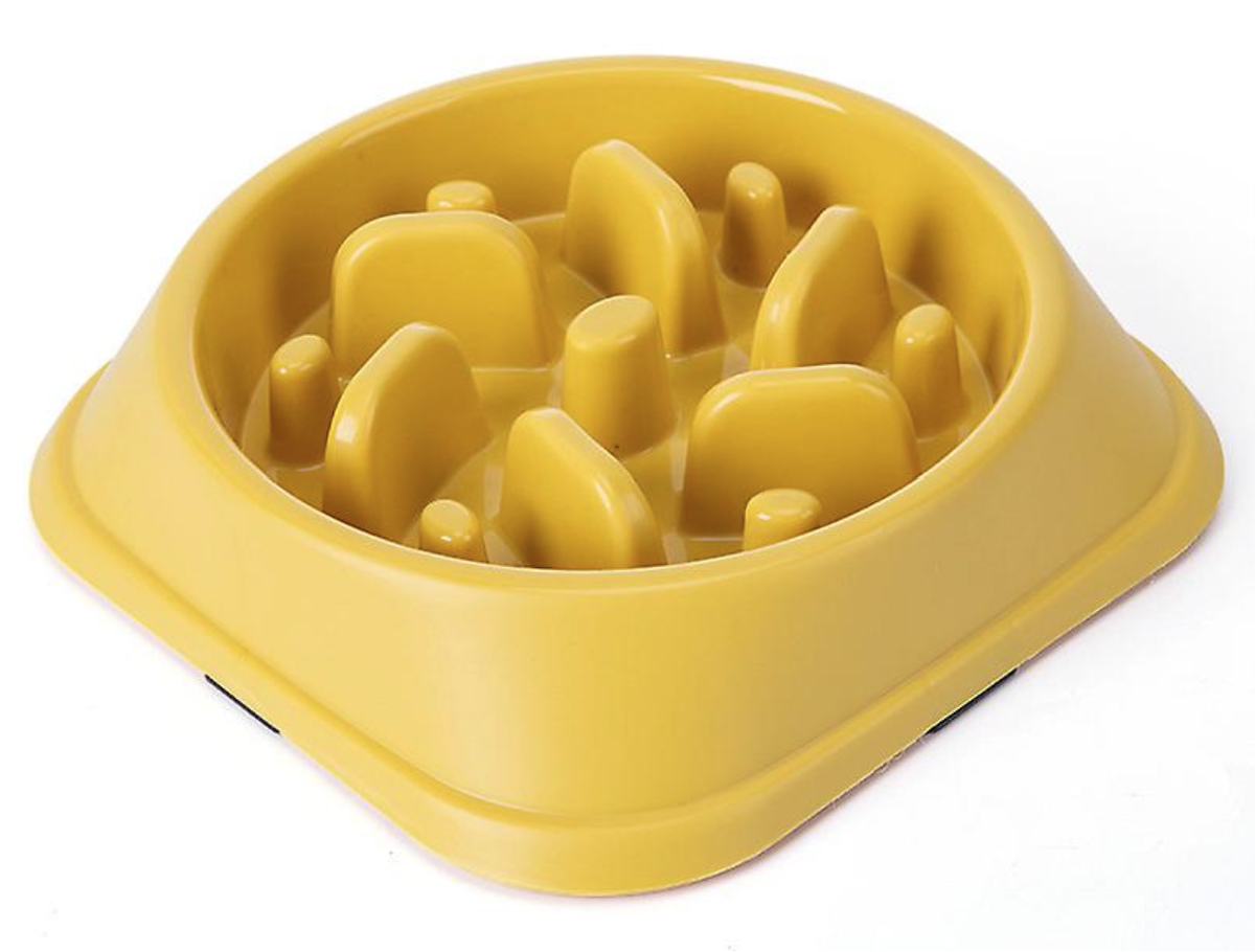 Dog Bowl Slow Feeder Pet Bowl Anti Bloating Anti Slip Feet Yellow