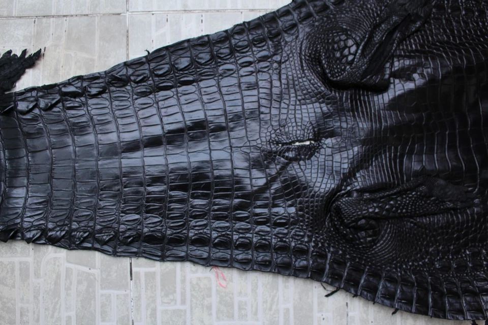 US Stock - Black Real Crocodile Leather Skin Hide Exotic Pelt Taxidermy #S21 - Image 4 of 4