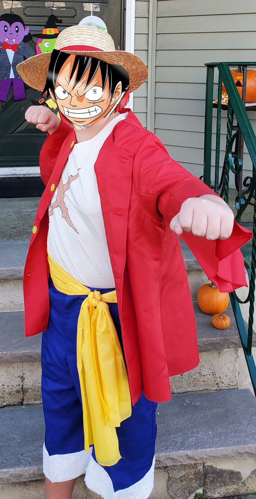 one piece monkey d luffy cosplay