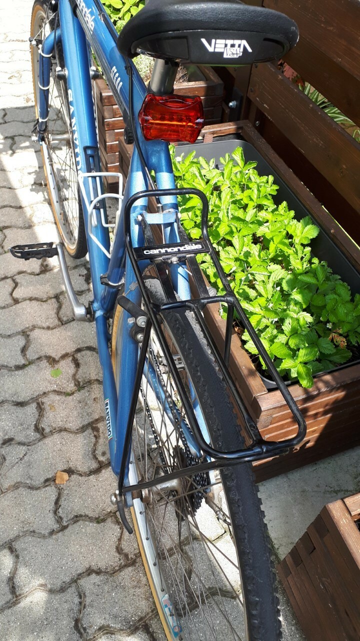 Foto 4 di 5