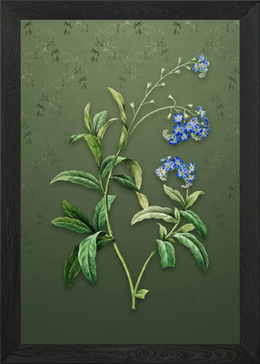 Water Forget Me Not Framed Wall Art Poster Canvas Print Picture