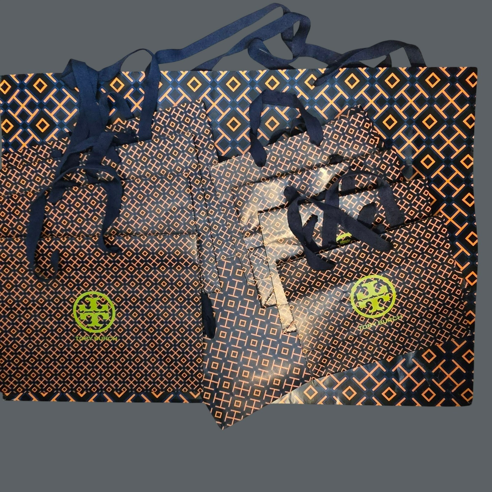 Tory Burch Totes Designer Geometric Print Shopping Gift Bags Set VR2108 thumbnail 5