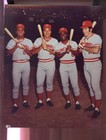 Pete Rose Johnny Bench Joe Morgan Tony Perez 8x10 Photo Photograph Poster Reds