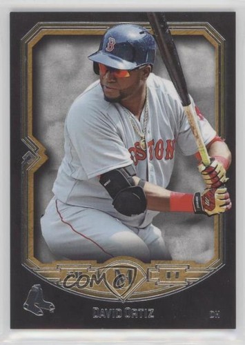 2017 David Ortiz #71