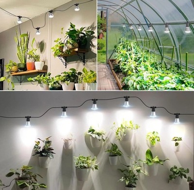 Hanging Grow Light String for Indoor Outdoor Plants, 6X12W  LED Grow Light Bulbs