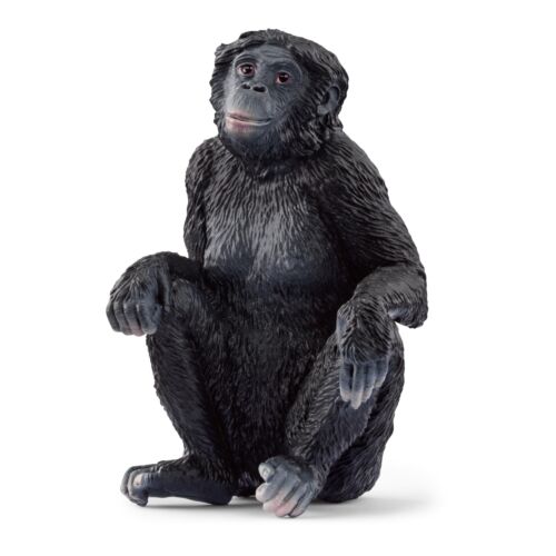 Figurine Femme Schleich 14875 WILD LIFE Bonobo (Sony Playstation 5) (IMPORTATION UK) - Photo 1/2