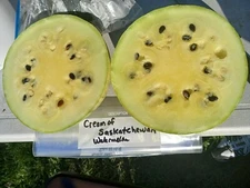 Cream of Sasketchewan Watermelon Seeds