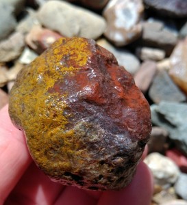 Lake Superior Agate, 3.3oz Veined Mix Color Moss Agate. Rough Lapidary